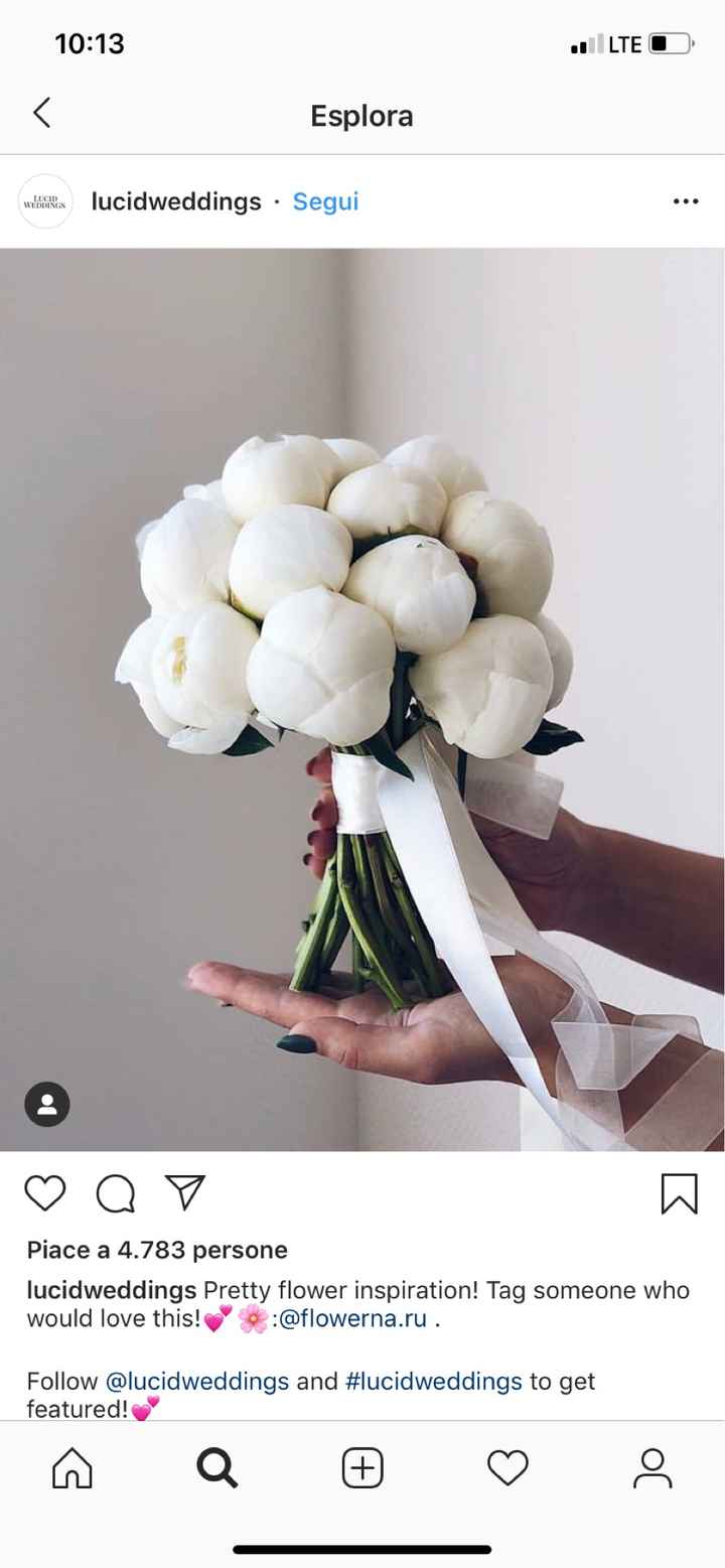 Bouquet:quale scegliere? - 1