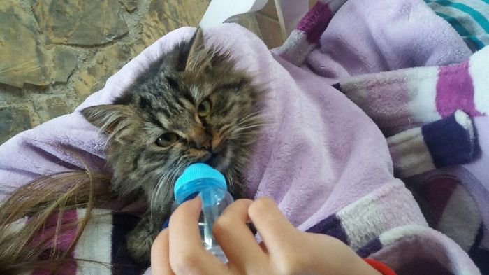 Vi presento nina! - 1