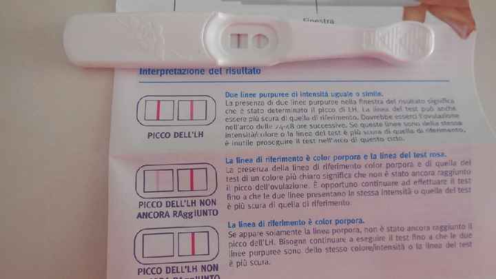 Consiglio test ovulazione canadesi - 1