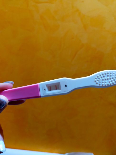 Chi non le aspetta per Dicembre 2021 🤶 🎅 🎄 - 1