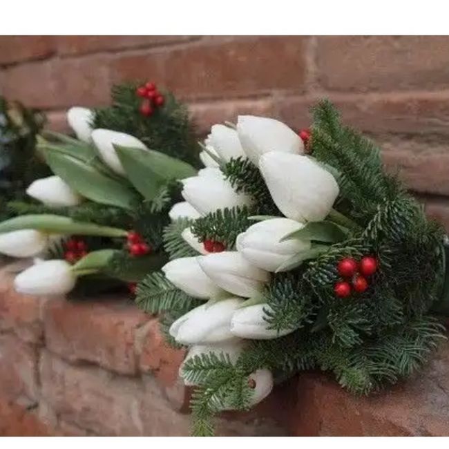 Fioriiiiii a dicembre 3