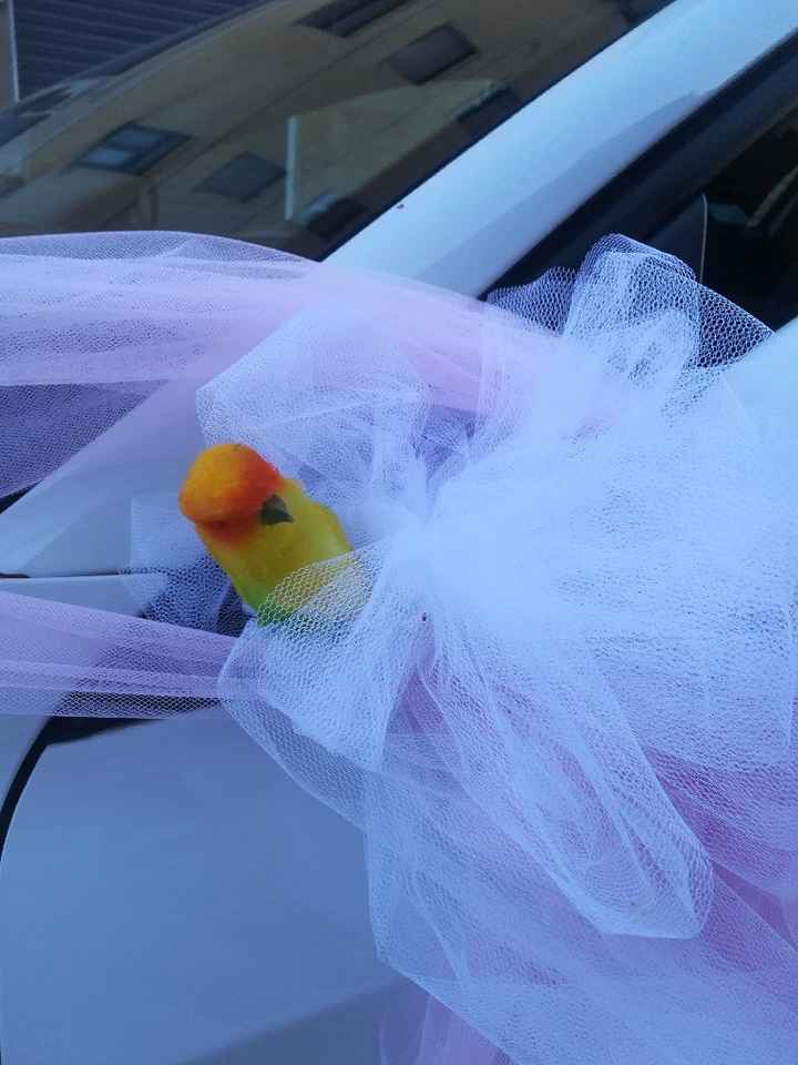 Mi sposo in Panda?!? - 1