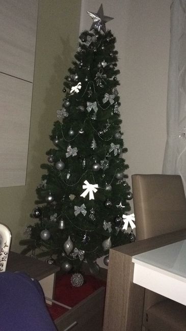 Il nostro primo albero di natale ? - 2