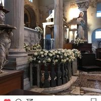 La scelta dei fiori 💐 - 2