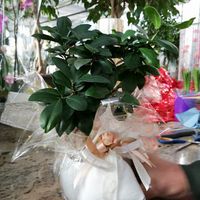 Bomboniera scelta..ma il tema???? - 1