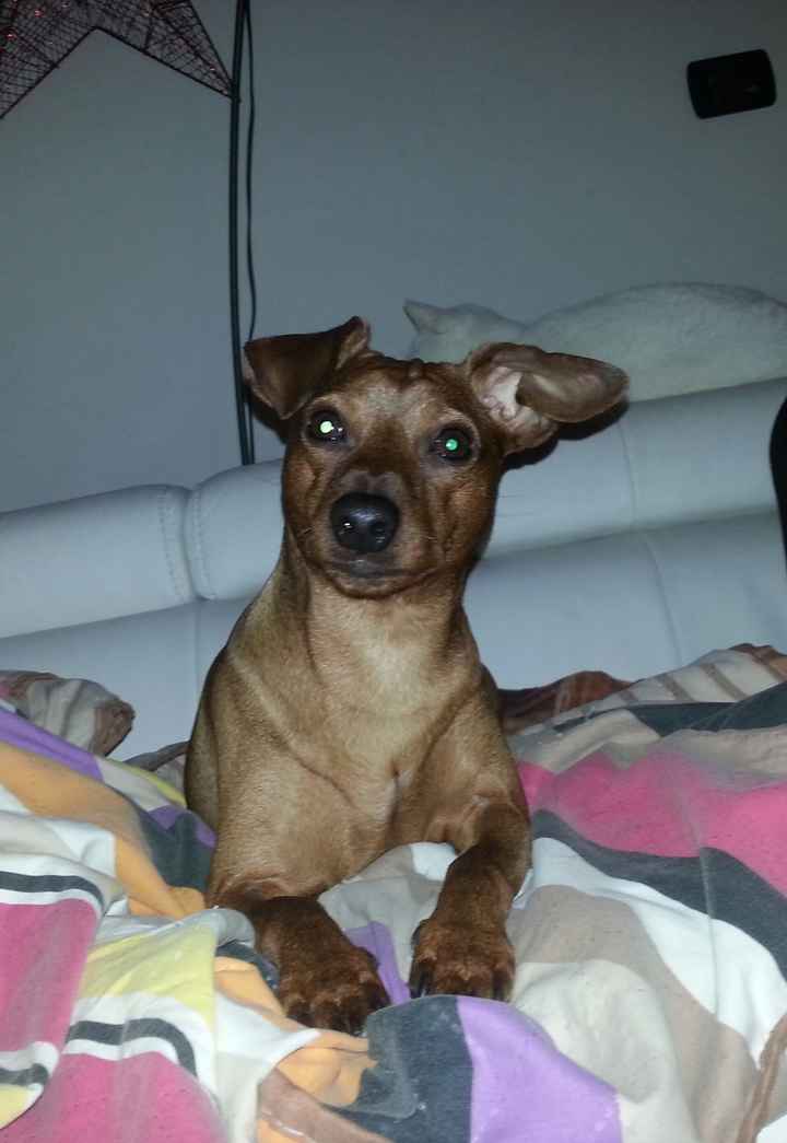 Luna di miele in italia - 1