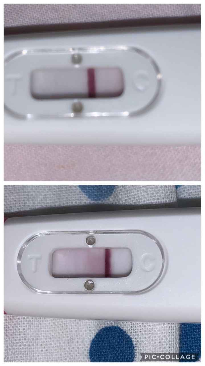 Secondo voi? Lettura test! - 1