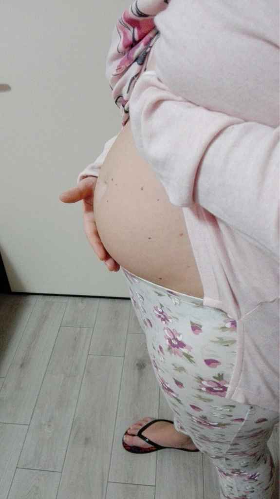 Pancino 15esima settimana - 1