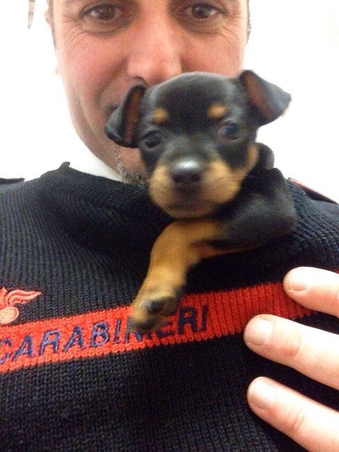 Too cute: i vostri amici animali - 1