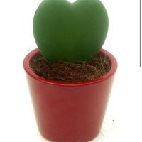 Bomboniere utili tema mare - 1