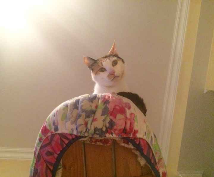 Aspettando le bomboniere - 1