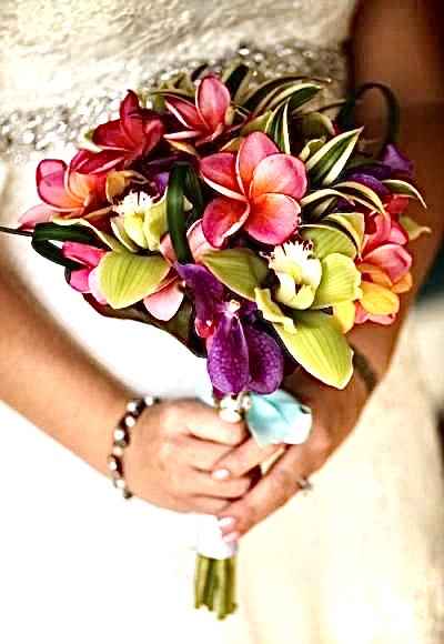 Hawaii Wedding ✨🌺 - 6