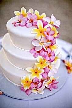 Hawaii Wedding ✨🌺 - 11