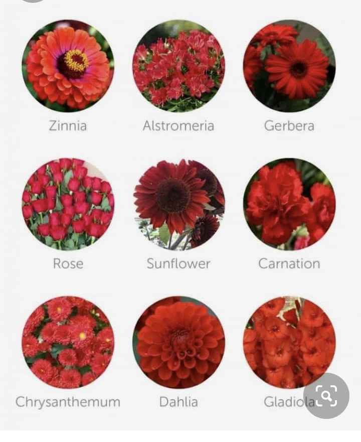 Fiori in chiesa...😍 - 1