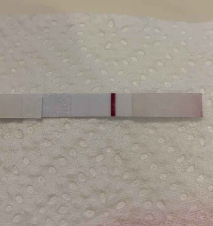 Consiglio test - 1