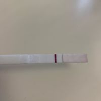 Consiglio test - 1