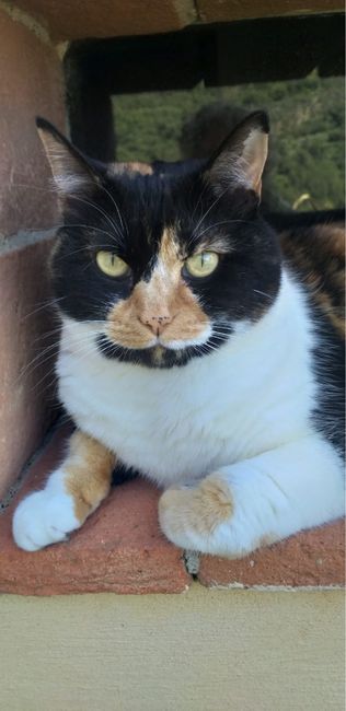 Future mamme novembre 2020 🌞🍁🌷♾ - 1