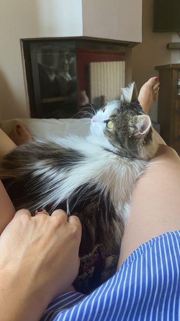 Future mamme novembre 2020 🌞🍁🌷♾ - 2