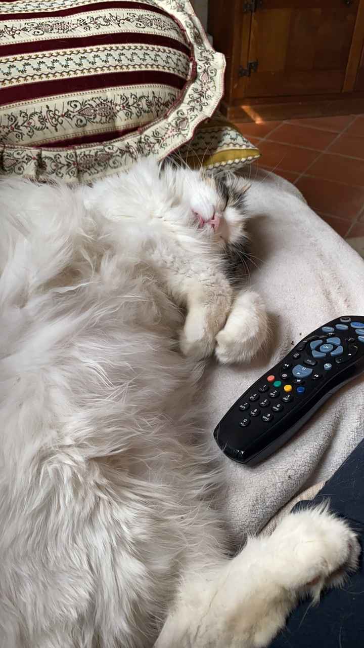 Future mamme novembre 2020 🌞🍁🌷♾ - 1