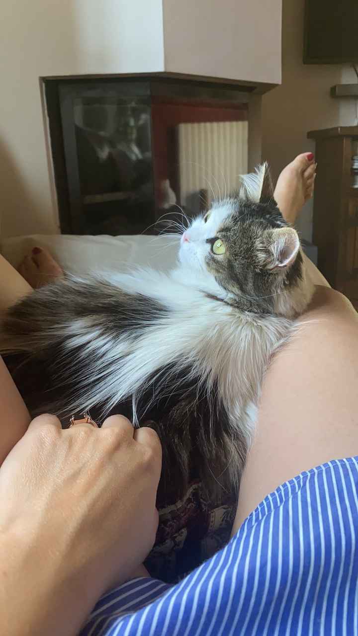 Future mamme novembre 2020 🌞🍁🌷♾ - 2