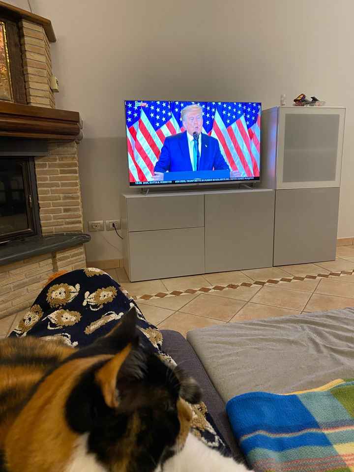 Future mamme novembre 2020 🌞🍁🌷♾ - 1