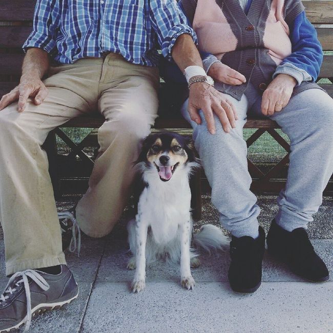 Amanti degli animali - 1