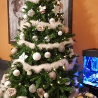 Avete mai fatto l'albero insieme? - 1