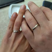 Scelta delle fedi - 1