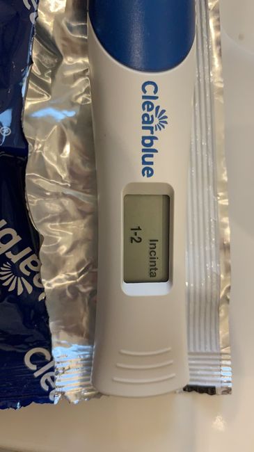 Aspiranti mamme Agosto 2019 ❣️ 2