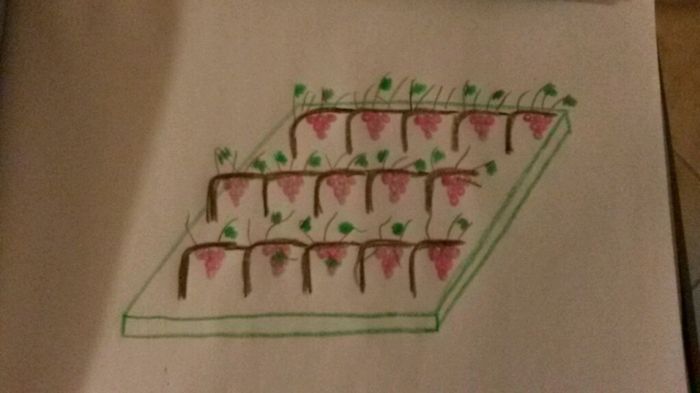 Tableau fai da te help!! - 1