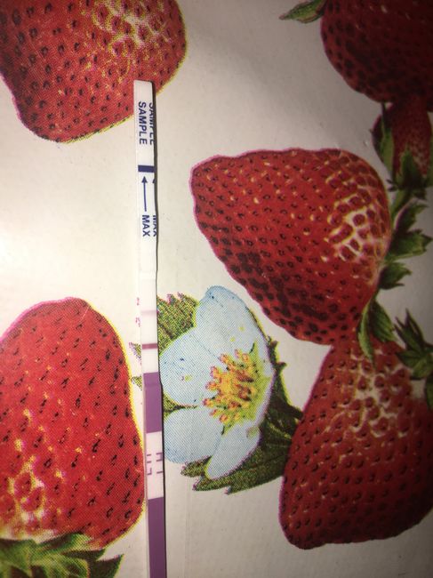 Test ovulazione canadesi - 2