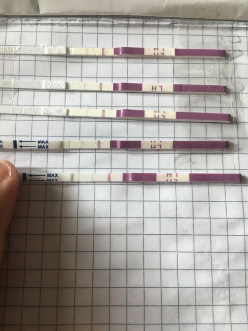 Test ovulazione canadesi - 1