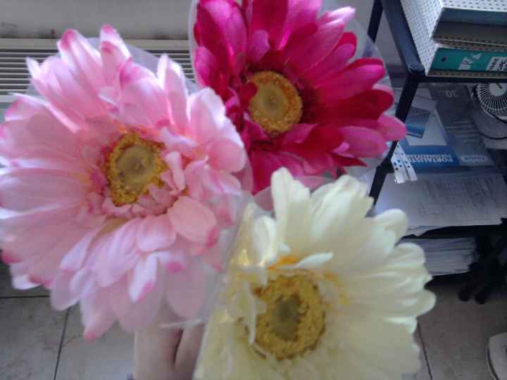  Panna Rosa e Fuxia