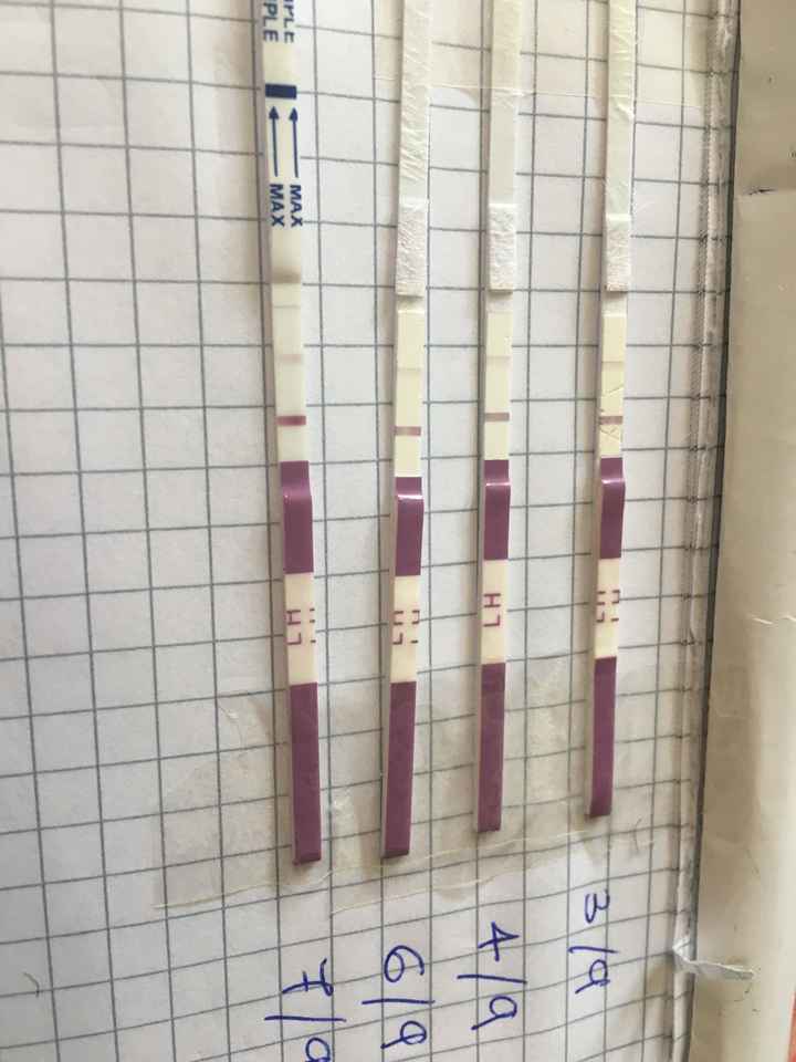 Test ovulazione canadesi - 1