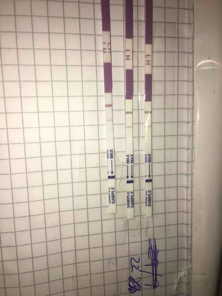 Ovulazione vicina ? - 1