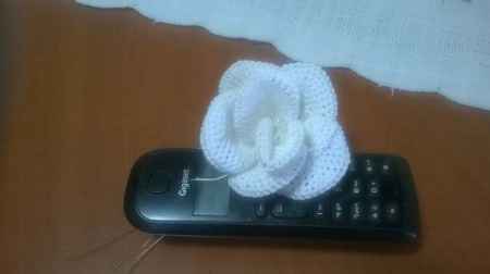 Esperimento bouquet - 1