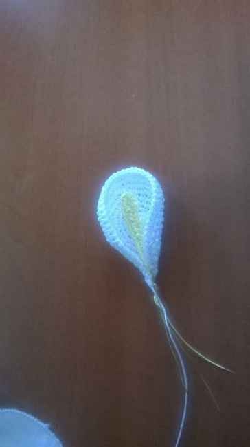 Esperimento bouquet - 3