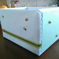 Il mio lancio del riso...particolare! - 1