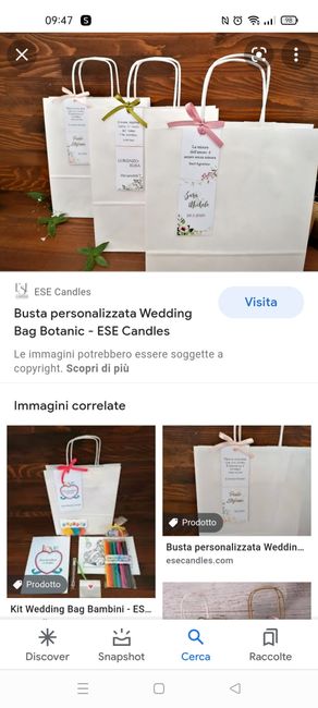 Wedding bag 1