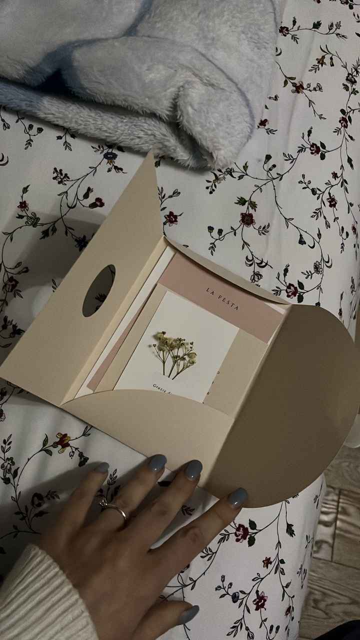 Campioni partecipazioni 💌 - 3