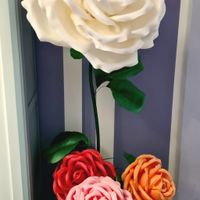 Colori del matrimonio - 1