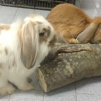 Vi presento il mio bambino *-* - 1