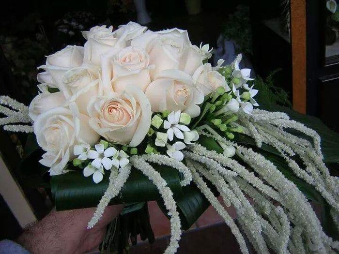 Crisi bouquet - 2