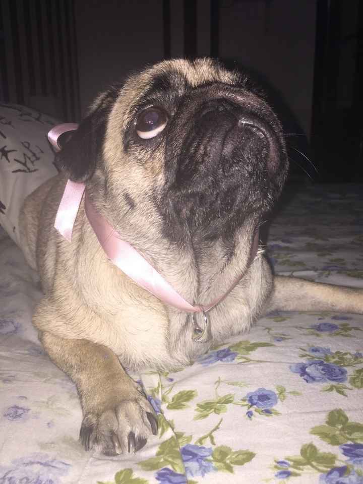 In vena romantica... - 1