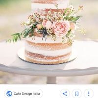 Torte nuziali "nude" zona Verona/soave - 1