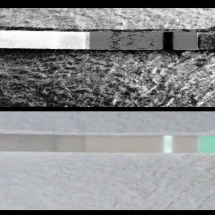 Chi non le aspetta per Marzo 2020 - 1