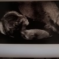 Future mamme novembre 2020 🌞🍁🌷♾ - 1