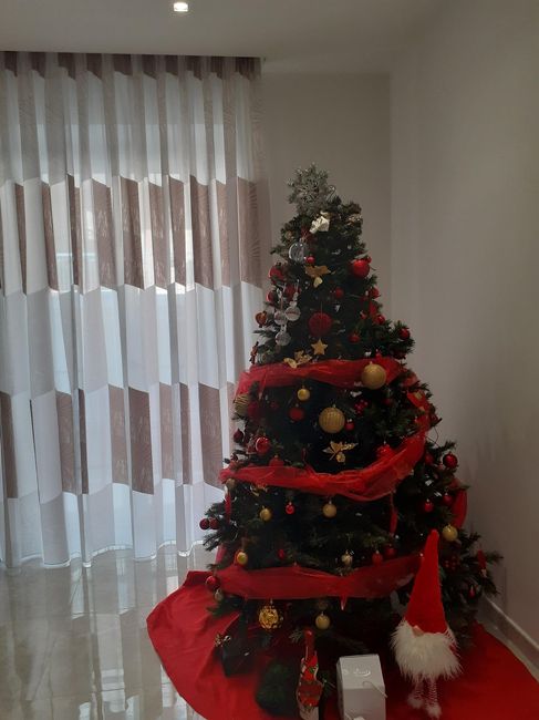 Avete mai fatto l'albero insieme? - 1