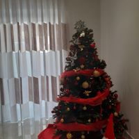 Avete mai fatto l'albero insieme? - 1
