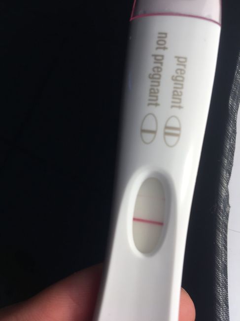  La vedo solo io o c’e?😱 - 1